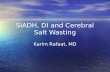 SIADH, DI and Cerebral Salt Wasting Karim Rafaat, MD.
