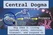 Central Dogma Big Idea 3: Living systems store, retrieve, transmit, and respond to info essential to life processes.