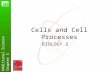 Additional Science Chapter 3 Cells and Cell Processes BIOLOGY 2.