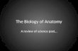 The Biology of Anatomy A review of science past….