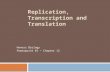 Replication, Transcription and Translation Honors Biology Powerpoint #2 – Chapter 12.