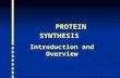 PROTEIN SYNTHESIS PROTEIN SYNTHESIS Introduction and Overview.