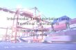 Intermodal Transportation and Terminal Operations Transportation Logistics Spring 2008.