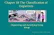 Chapter 18 The Classification of Organisms Organizing and classifying living things .