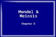 Mendel & Meiosis Chapter 6. Mendelian Genetics What is this? Branch of genetics that deals with simple dominant/recessive traits based on the work of.