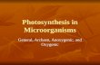 Photosynthesis in Microorganisms General, Archaen, Anoxygenic, and Oxygenic.