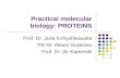 Practical molecular biology: PROTEINS Prof. Dr. Julia Kzhyshkowska PD Dr. Alexei Gratchev Prof. Dr. W. Kaminski.
