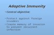 Adaptive Immunity Central objective: Protect against foreign invaders Create memory of invasion to prevent recurrent infection.