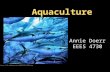 Aquaculture Annie Doerr EEES 4730