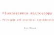 Fluorescence microscopy – Principle and practical consideration Hiro Ohkura.