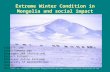 Extreme Winter Condition in Mongolia and social impact .