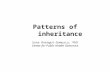 Patterns of inheritance Suna Onengut-Gumuscu, PhD Center for Public Health Genomics.