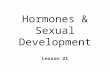 Hormones & Sexual Development Lesson 21. Let’s Talk About Sex n It’s complicated l Cognitive, behavioral, emotional, cultural factors n Chromosomal sex.