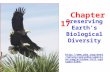 Preserving Earth’s Biological Diversity Chapter 17  ure/episodes/american- eagle/video-full- episode/4349