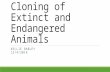 Cloning of Extinct and Endangered Animals KELLIE RABLEY 12/4/2014.