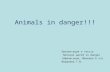 Animals in danger!!! Презентация к тексту Natural world in danger (Афанасьева, Михеева 6 кл) Ивашнева Т.В.