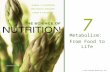 © 2011 Pearson Education, Inc. 7 Metabolism: From Food to Life.