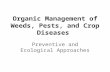 Organic Management of Weeds, Pests, and Crop Diseases Preventive and Ecological Approaches.