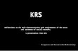 1 KRS Reflections on the main characteristics and requirements of the users and customers of social networks. A presentation from KRS.