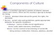 Components of Culture  Culture: a society’s (group’s) system of shared, learned values and norms; these are the society’s (group’s) design for living.