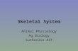 Skeletal System Animal Physiology Ag Biology Sutherlin AST.