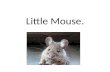Little Mouse.. Big Lion. Big, big trouble. “ Let me go!” begs Mouse.