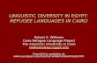 LINGUISTIC DIVERSITY IN EGYPT: REFUGEE LANGUAGES IN CAIRO Robert S. Williams Cairo Refugee Language Project The American University in Cairo rwilliams@aucegypt.edu.