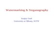 Watermarking & Steganography Sanjay Goel University at Albany, SUNY.