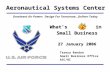 What’s in Small Business 27 January 2006 Teresa Rendon Small Business Office ASC/BC Aeronautical Systems Center Dominant Air Power: Design For Tomorrow…Deliver.