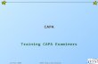 Jan/Feb 2008CAPA Train-the-Trainer Workshop1 CAPA Training CAPA Examiners.
