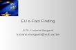 EU e-Fact Finding © Dr. Luciano Morganti luciano.morganti@vub.ac.be.