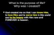 What is the purpose of life? Why was I created? know Him love Himserve him to be happy God created me so that I can know Him, to love Him and to serve.