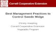 Best Management Practices to Control Swede Midge Christy Hoepting Cornell Cooperative Extension Vegetable Program Cornell Cooperative Extension.
