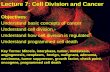 Lecture 7: Cell Division and Cancer Objectives: Understand basic concepts of cancer Understand cell division Understand how cell division is regulated.