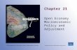 Chapter 21 Open Economy Macroeconomic Policy and Adjustment.