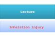 Lecture Inhalation injury. Smoke inhalation is the primary cause of death in about 60% to 80% of the 8,000 victims of burn injuries each year in the United.