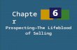Prospecting—The Lifeblood of Selling Chapter 6. 6.