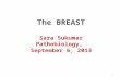 1 The BREAST Sara Sukumar Pathobiology, September 6, 2013.
