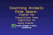 Counting Animals from Space: Chapter Two Transitions from Captivity to Wild Places Scott Bergen & Eric Sanderson.