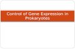 Control of Gene Expression in Prokaryotes. Why regulate gene expression? It takes a lot of energy to make RNA and protein. Therefore some genes active.