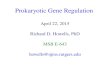 Prokaryotic Gene Regulation April 22, 2015 Richard D. Howells, PhD MSB E-643 howells@njms.rutgers.edu.
