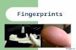 Fingerprints bsapp.com. Principles of Fingerprints First Principle: A fingerprint is an individual characteristic; no two fingers have yet been found.