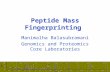 Peptide Mass Fingerprinting Manimalha Balasubramani Genomics and Proteomics Core Laboratories.