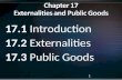 1 17.1 Introduction 17.2 Externalities 17.3 Public Goods.
