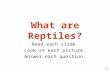 What are Reptiles? Read each slide. Look at each picture. Answer each question.