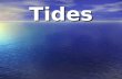 Tides. Section 13 - 2 Tides EQ: What causes tides?