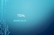 TIDAL JUKOBI SALAS. WHAT IS TIDAL ENERGY non-polluting, reliable and predictable. Tidal barrages, undersea tidal turbines like wind turbines but driven.