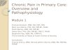 Chronic Pain in Primary Care: Overview and Pathophysiology Module 1 Frances Sonstein, MSN, RN, FNP, CNS Mary Lou Adams, PhD, RN, FNP-BC, FAAN Paula Worley,