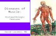 David Lacomis, MD Diseases of Muscle: Histopathologic Features.