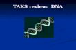 TAKS review: DNA. Obj. 2 TEK 6 (A) describe components of deoxyribonucleic acid (DNA), and illustrate how information for specifying the traits of an.